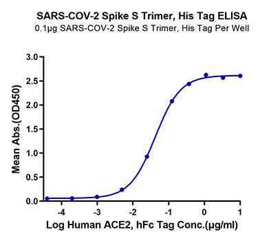 Recombinant SARS-CoV-2 Spike S1+S2 ECD(S-ECD) Protein