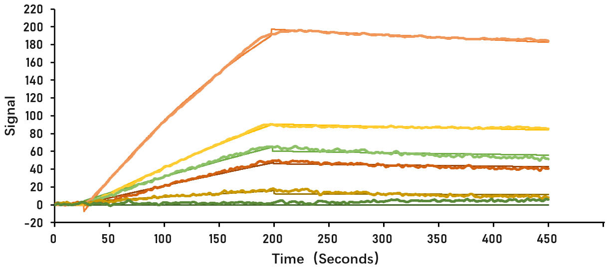 Recombinant SARS-CoV-2 Spike S1 Protein