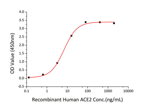Recombinant SARS-CoV-2 Spike S1 Protein