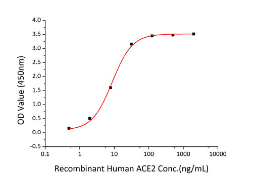 Recombinant SARS-CoV-2 Spike S1 Protein