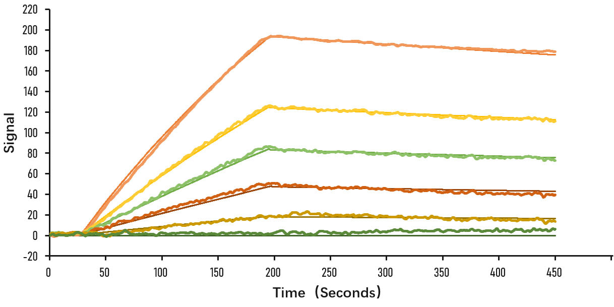 Recombinant SARS-CoV-2 Spike S1 Protein