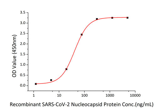 Recombinant SARS-CoV-2 Nucleocapsid Protein