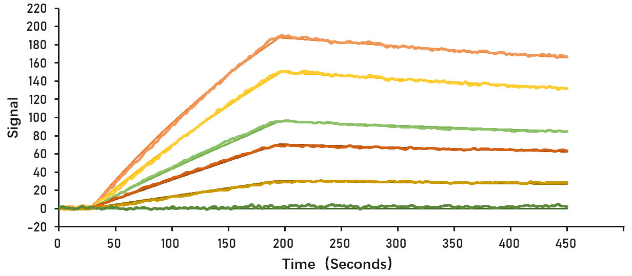 Recombinant SARS-CoV-2 Spike S1 Protein