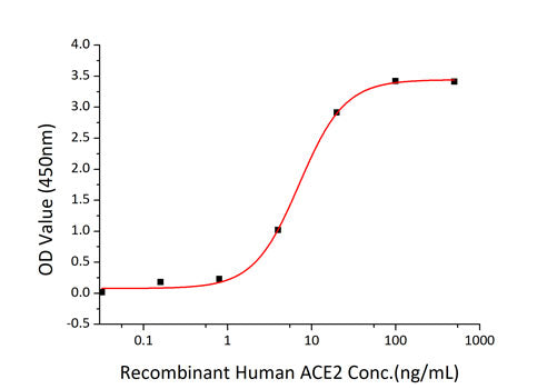 Recombinant SARS-CoV-2 Spike S1 Protein