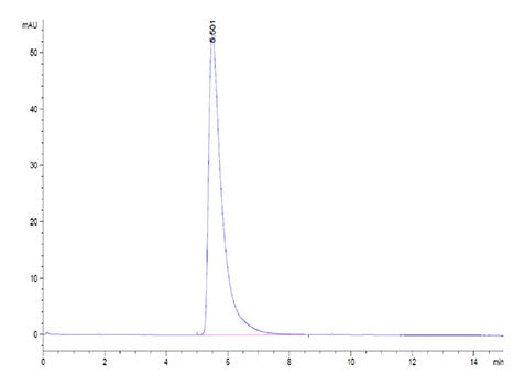 Recombinant Human ACE-2 Protein