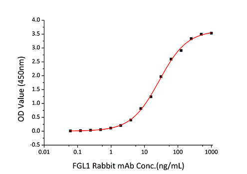 Recombinant Human Fibrinogen like 1/FGL1 Protein