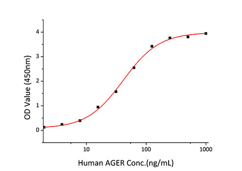 Recombinant Human S100-A9 Protein