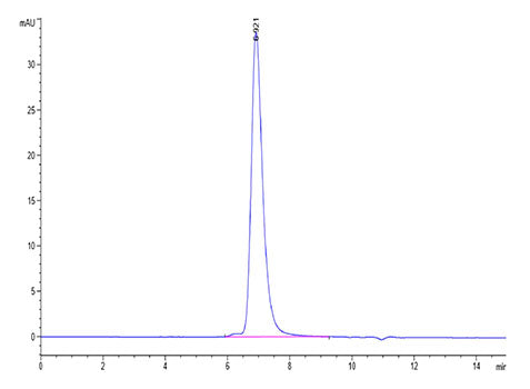 Recombinant SARS-CoV-2 Spike RBD  Protein