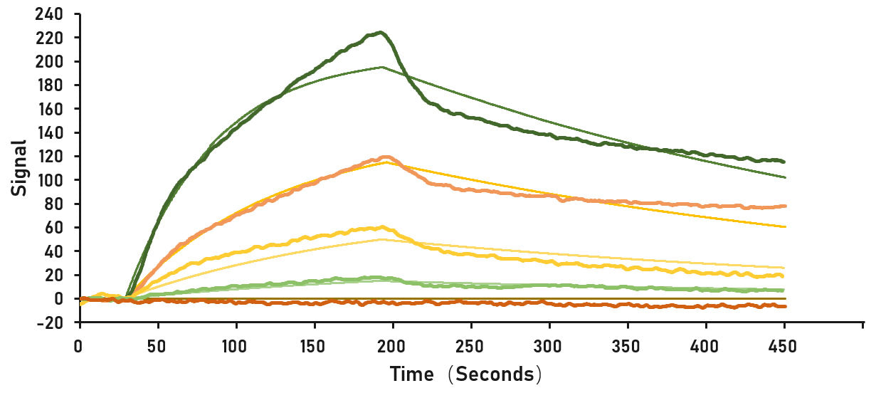 Recombinant SARS-CoV-2 Spike RBD  Protein