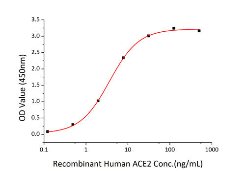 Recombinant SARS-CoV-2 Spike RBD  Protein