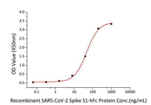 Recombinant SARS-CoV-2 Spike S1 Protein