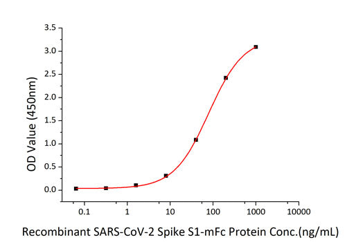 Recombinant SARS-CoV-2 Spike S1 Protein