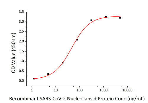 Recombinant SARS-CoV-2 Nucleocapsid(G335A) Protein