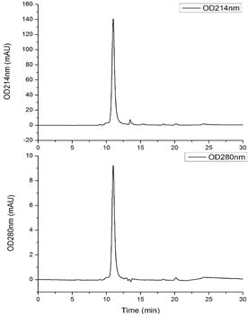 Recombinant SARS-CoV-2 Spike RBD  Protein