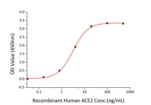 Recombinant SARS-CoV-2 Spike RBD  Protein