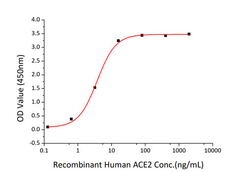 Recombinant SARS-CoV-2 Spike S1+S2 ECD(S-ECD) Protein