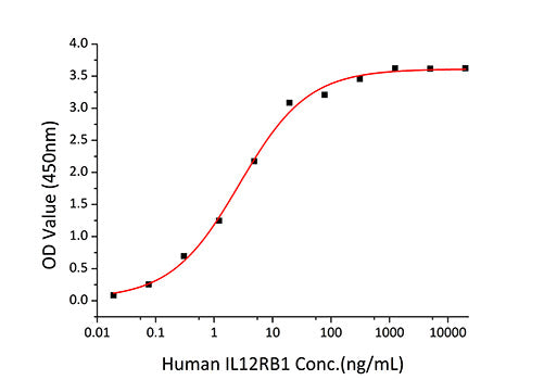 Recombinant Human IL-12B/IL-12 p40 Protein