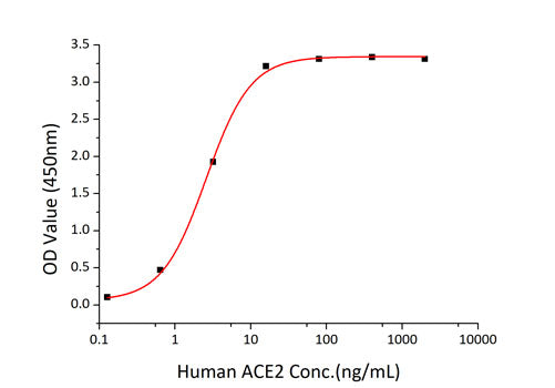 Recombinant SARS-CoV-2 Spike S1+S2 ECD(S-ECD)(D614G)  Protein