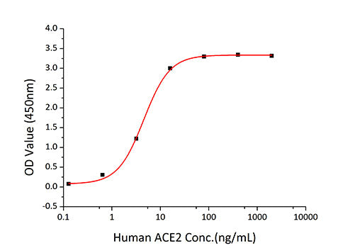 Recombinant SARS-CoV-2 Spike S1+S2 ECD(S-ECD)(D614G)  Protein
