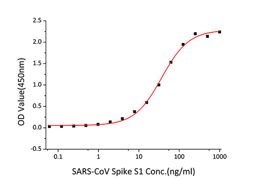 Recombinant SARS-CoV Spike S1 Protein