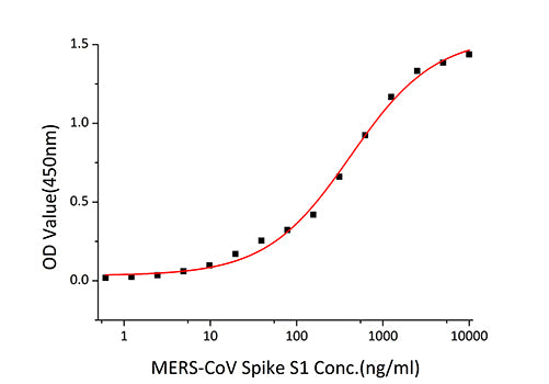 Recombinant MERS-CoV Spike S1 Protein