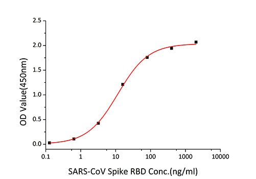 Recombinant SARS-CoV Spike RBD  Protein