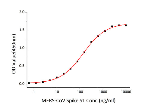 Recombinant MERS-CoV Spike RBD  Protein