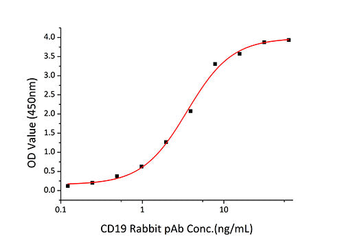 Recombinant Human CD19 Protein