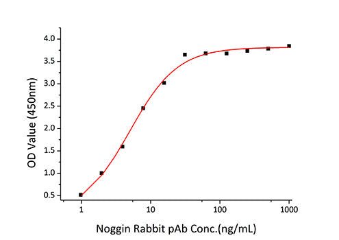 Recombinant Mouse Noggin/NOG Protein