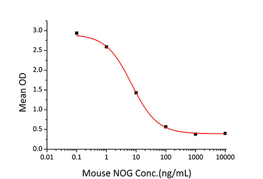 Recombinant Mouse Noggin/NOG Protein