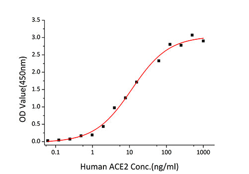 Recombinant SARS-CoV Spike S1 Protein