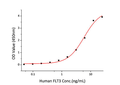 Recombinant Human FLT-3/FLK-2/CD135 Protein