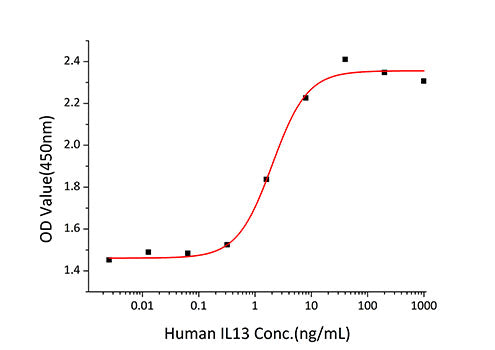 Recombinant Human IL-13 Protein