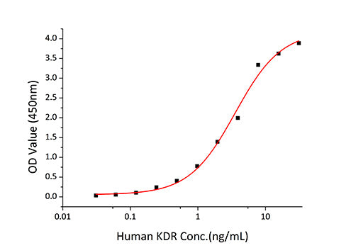 Recombinant Rat VEGF-A/VEGF164 Protein