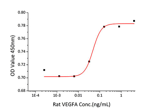 Recombinant Rat VEGF-A/VEGF164 Protein