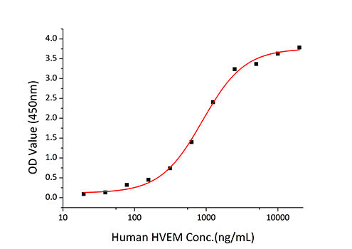 Recombinant Human TNFSF14/LIGHT/HVEM-L/CD258 Protein