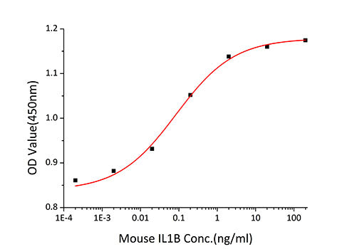 Recombinant Mouse IL-1 beta Protein