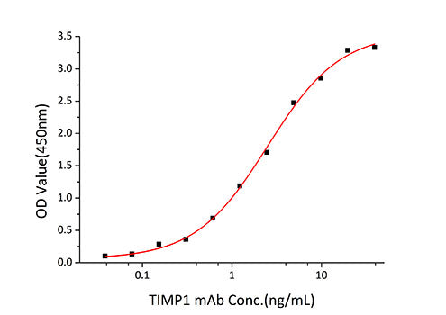 Recombinant Human TIMP-1 Protein