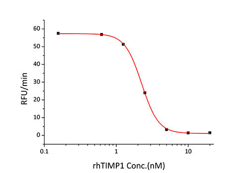 Recombinant Human TIMP-1 Protein