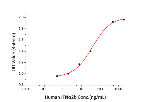 Recombinant Human IFNAR2 Protein