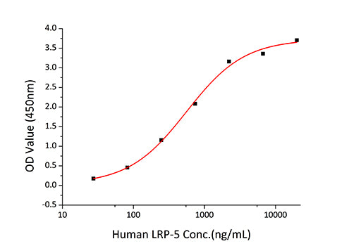 Recombinant Human Dkk-1 Protein