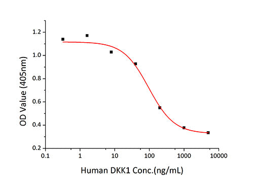 Recombinant Human Dkk-1 Protein
