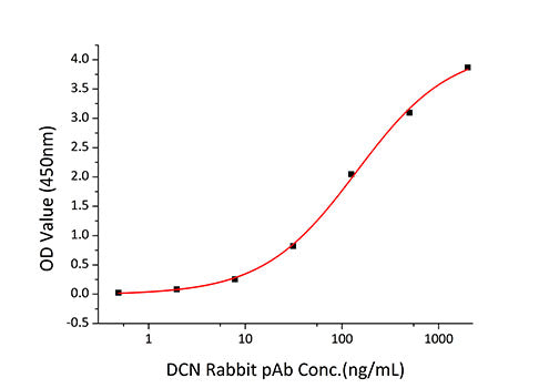 Recombinant Human Decorin/PG-S2/DCN Protein