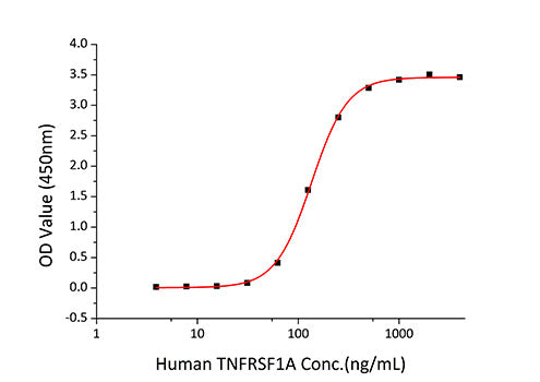 Recombinant Human TNFRSF1A/TNF-R1/CD120a Protein