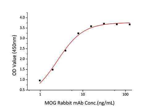 Recombinant Human Myelin oligodendrocyte glycoprotein/MOFG Protein
