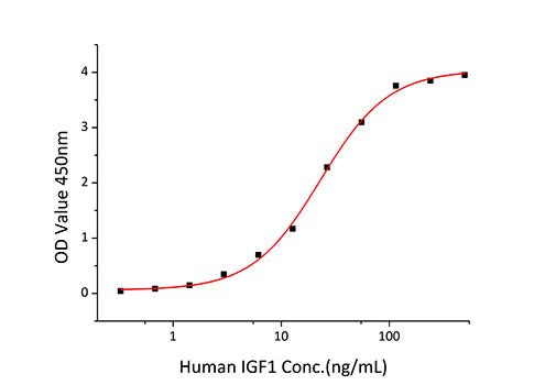 Recombinant Human IGFBP-3 Protein