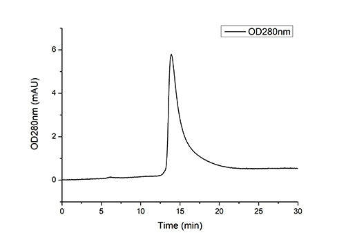 Recombinant Human Complement factor D/CFD Protein