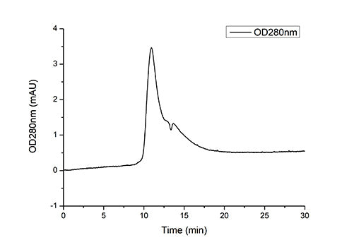 Recombinant Human PTH1R Protein