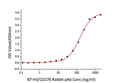 Recombinant Human B7-H3/CD276 Protein
