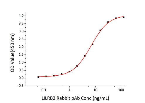 Recombinant Human LILRB2/ILT-4/CD85d Protein